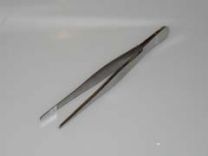 Forceps Stainless Steel Blunt Points